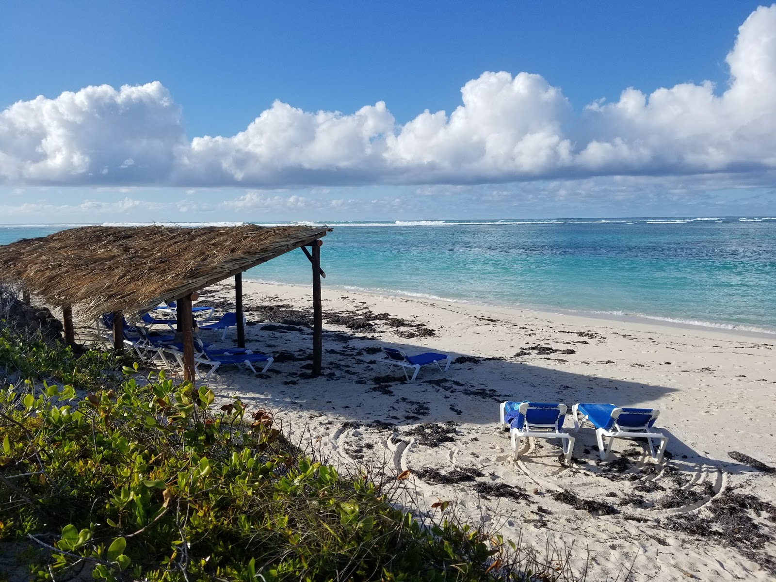 Photo de Anegada beach avec un niveau de propreté de très propre