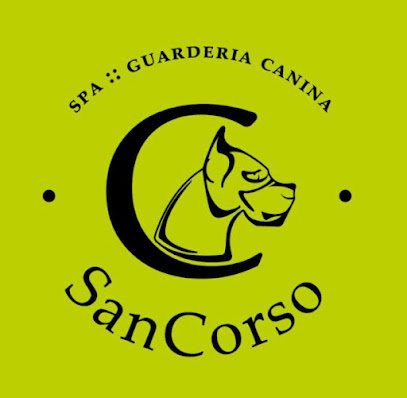 Spa Guardería canina SanCorso