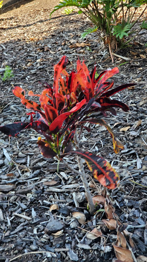 Seafood Restaurant «Fish Market Restaurant», reviews and photos, 750 N Harbor Dr, San Diego, CA 92101, USA