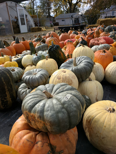 Garden Center «Hildebrant Farmers Market», reviews and photos, 349 Main Ave E, West Fargo, ND 58078, USA