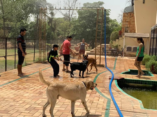 Dog accommodation Delhi