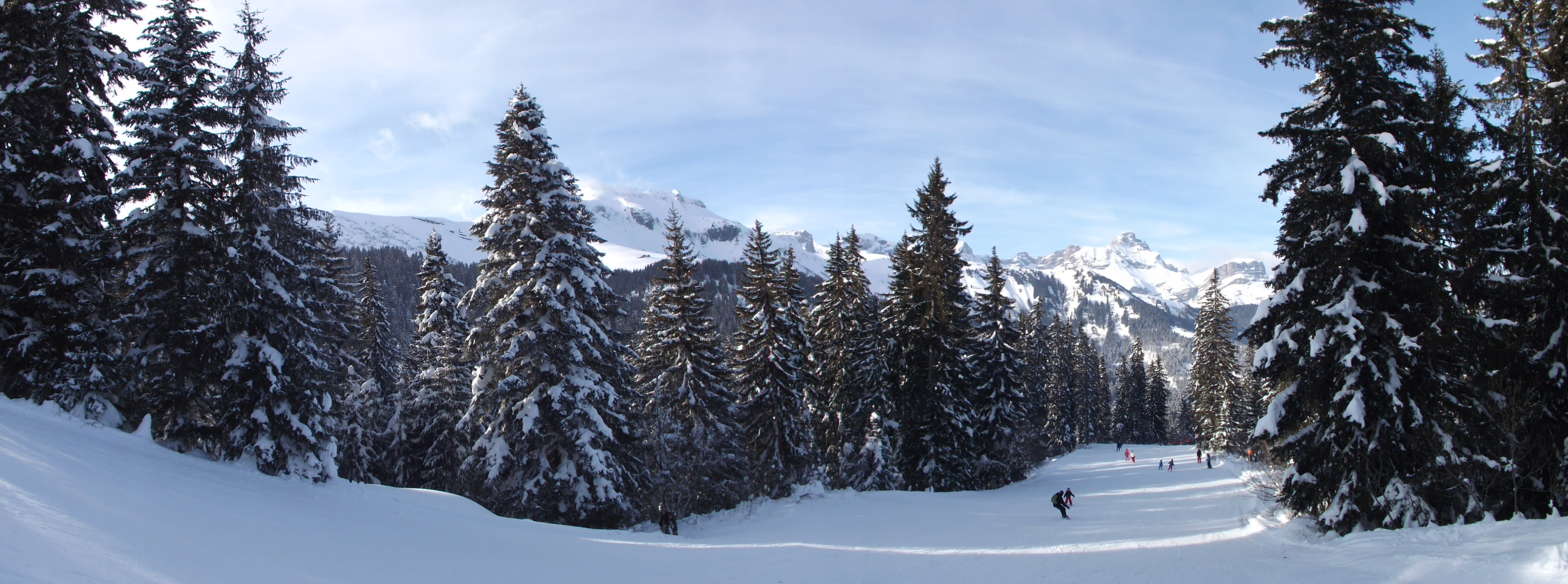 Photo n° 10 de l'avis de Sylvain.� fait le 27/11/2022 à 10:09