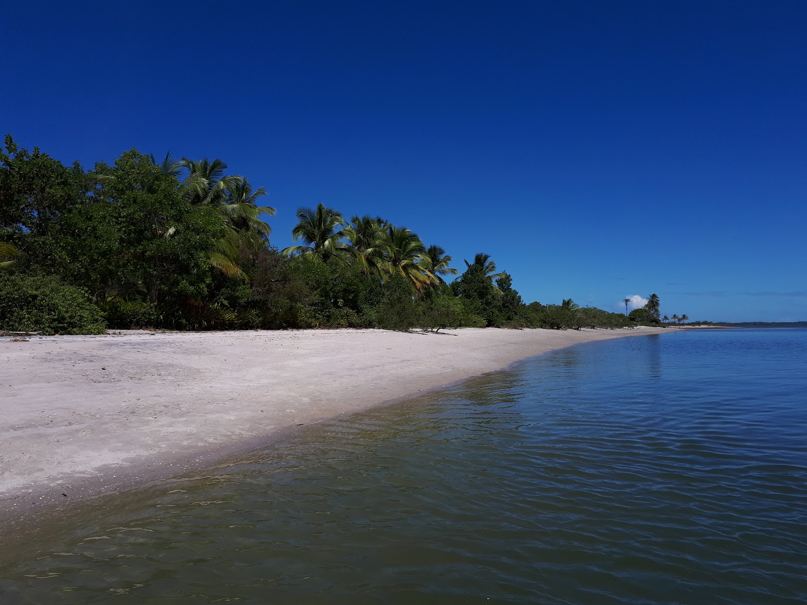Ilha do Goio Beach'in fotoğrafı ve yerleşim
