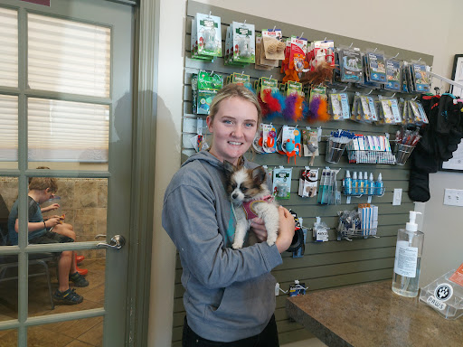 Palouse Animal Wellness & Surgery Center (PAWS) image