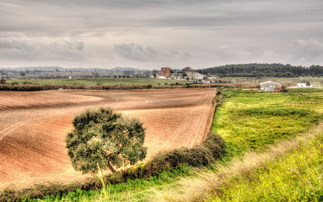 Ducemarca - Sociedade Agrícola e Imobiliária, S.A