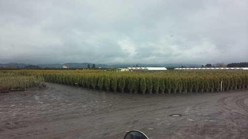 Florist «Garden Path Flowers», reviews and photos, 5880 SE Booth Bend Rd, McMinnville, OR 97128, USA