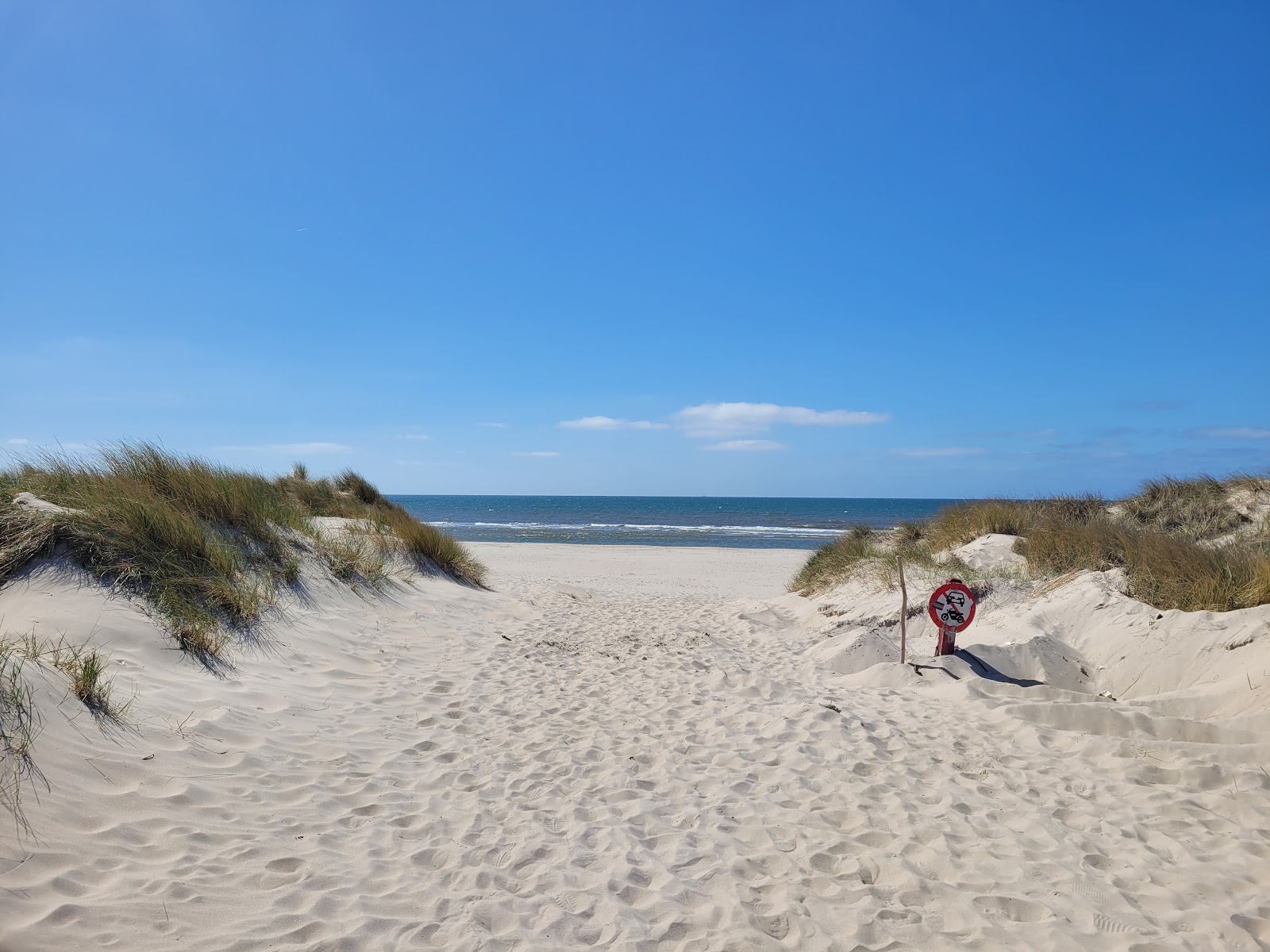 Foto von Skallingen Strand - beliebter Ort unter Entspannungskennern