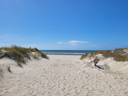 Foto von Skallingen Strand - beliebter Ort unter Entspannungskennern