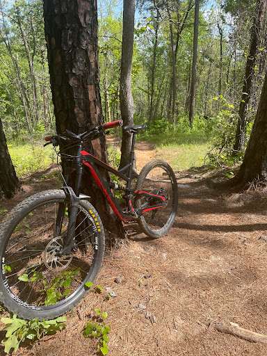 Store «Adventure Cycles», reviews and photos, 7400 Spout Springs Rd #202, Flowery Branch, GA 30542, USA