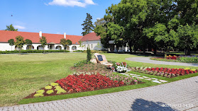 Múzeum kert