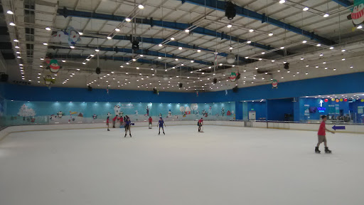 Skating rink