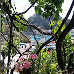 Photo n°1 de l'avis de Luigi.e fait le 04/05/2018 à 20:01 sur le  Ristorante  Il Barcaiolo  à Mazzarò