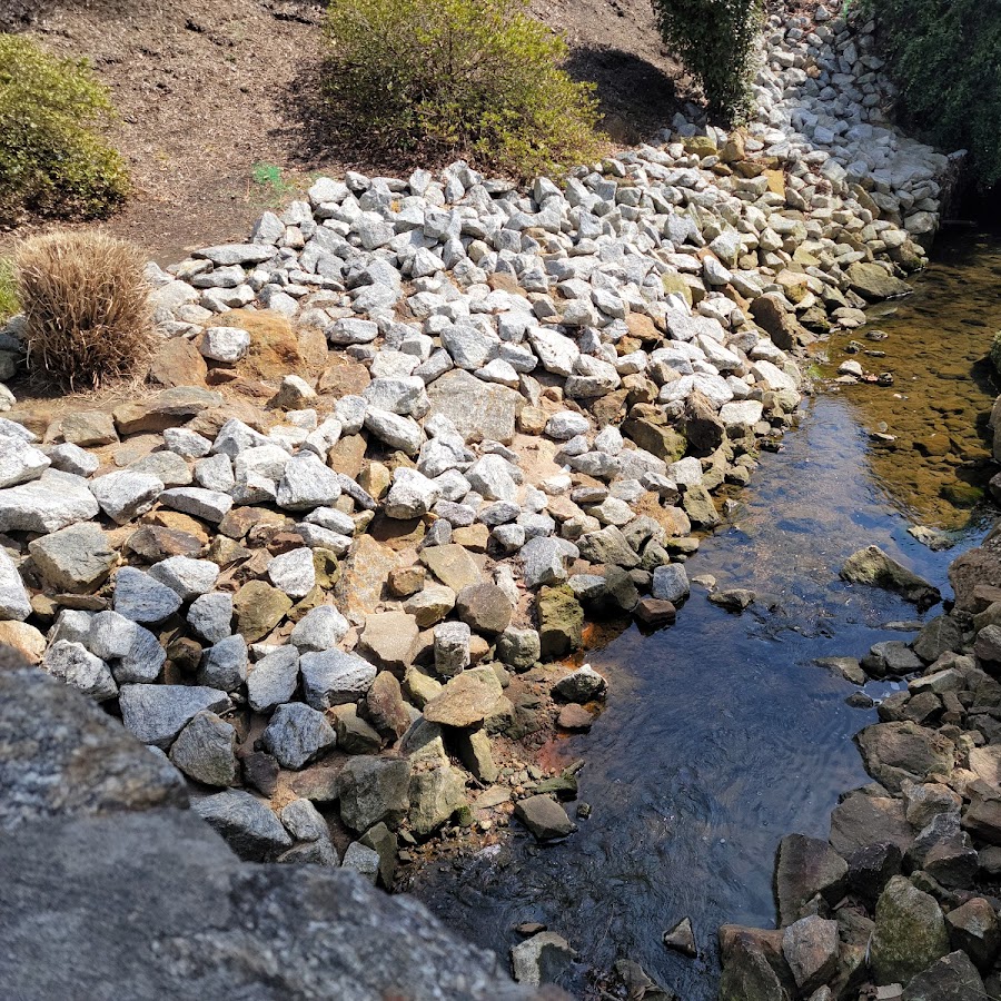 Rock Quarry Garden