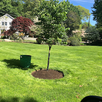 JS LANDSCAPING - Photo 9 - Car repair in Bridgeport, CT, Bridgeport