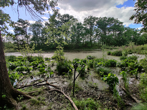 Park «Nyquist-Harcourt Wildlife Sanctuary», reviews and photos, 133 Huguenot St, New Paltz, NY 12561, USA