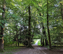 Düsternbrooker Gehölz photo
