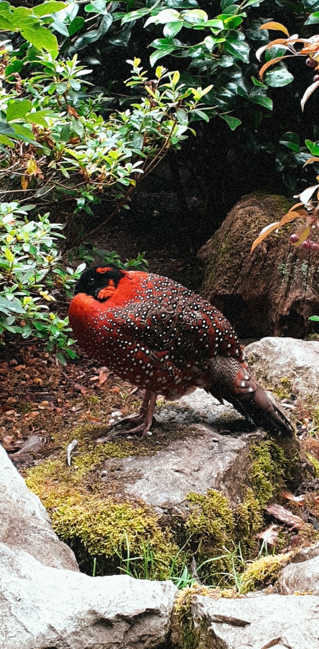 Photo n° 25 de l'avis de Ciccio.e fait le 28/07/2020 à 01:20