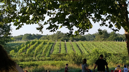 Vineyard «Wilderness Run Vineyards», reviews and photos, 11109 Plank Rd, Spotsylvania, VA 22553, USA