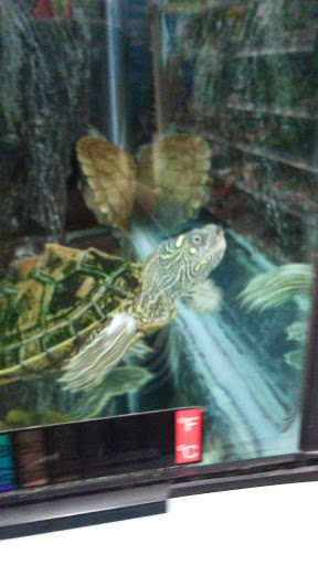 Pet Supply Store «Petco Animal Supplies», reviews and photos, 3215 Dredge Dr, Helena, MT 59602, USA