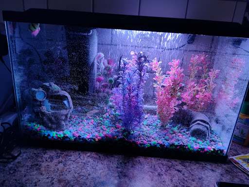 Pet Supply Store «Pet Supplies Plus», reviews and photos, 220 Market Dr, Elyria, OH 44035, USA