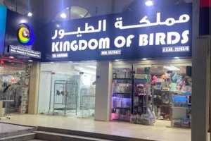 مملكة الطيور سوق العلي Kingdom Of Birds image
