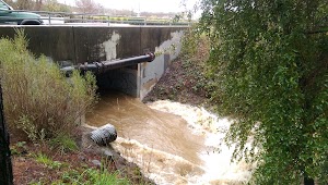 Hiram Lewis Park - photo 18