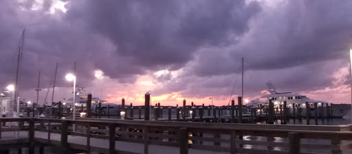 Aquarium «St. Lucie County Aquarium», reviews and photos, 420 Seaway Dr, Fort Pierce, FL 34949, USA