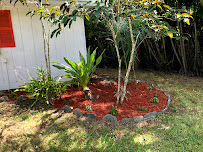 Hook and Ladder Landscaping LLC - Photo 8 - Car repair in , West Palm Beach