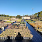 Photo n° 3 de l'avis de Darth.i fait le 23/03/2023 à 19:02 pour Pépinière By ADC à Aspiran