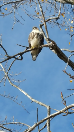 Golf Course «Brighton Park Golf Course», reviews and photos, 70 Brompton Rd, Tonawanda, NY 14150, USA