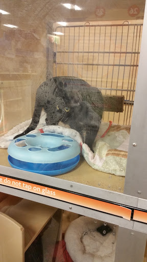 Pet Supply Store «PetSmart», reviews and photos, 47142 Michigan Ave, Canton, MI 48188, USA