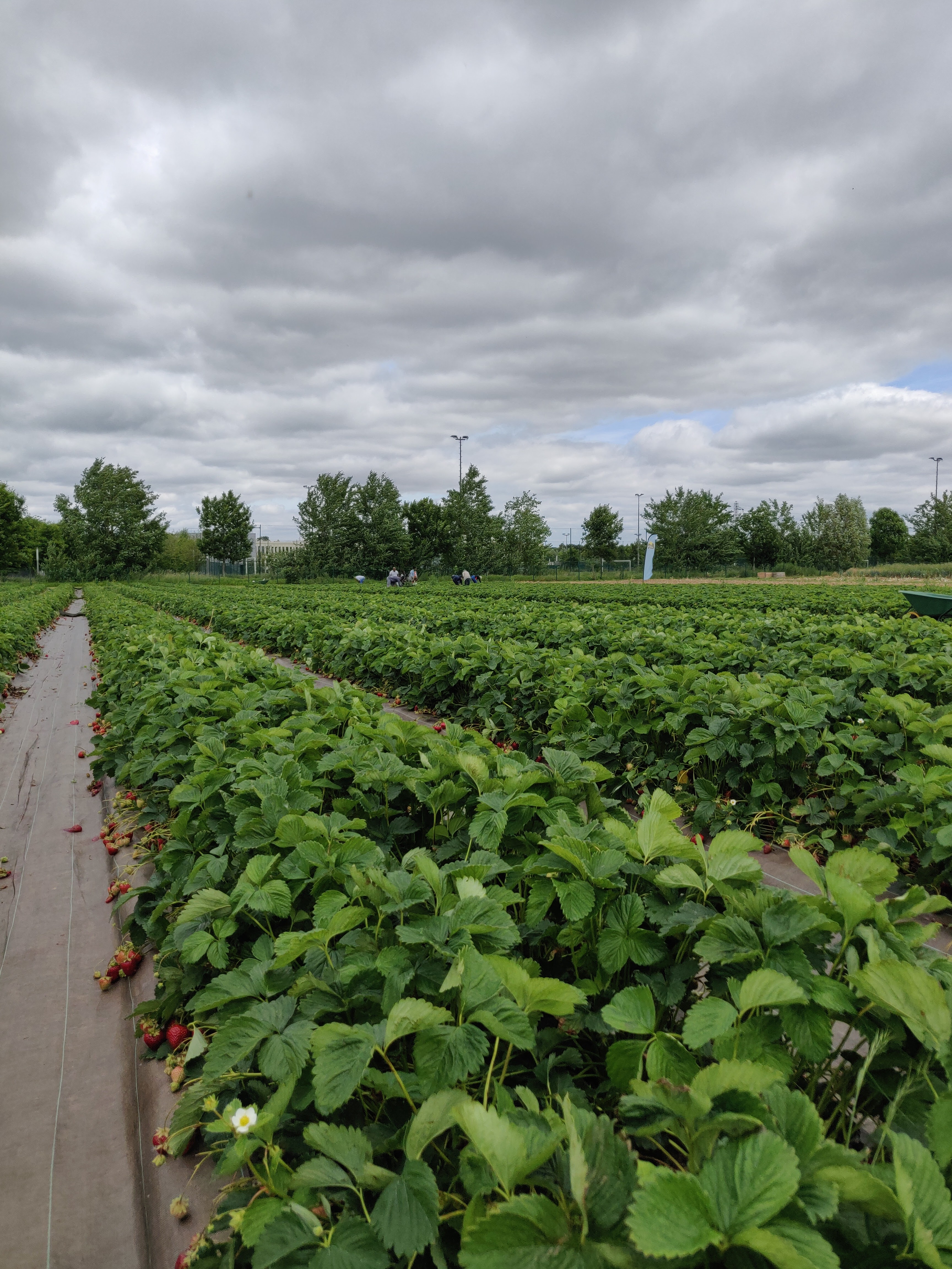 Photo n° 7 de l'avis de Sky.a fait le 23/06/2022 à 14:08