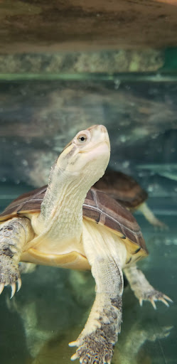 Pet Supply Store «Petco Animal Supplies», reviews and photos, 12014 SW 88th St, Miami, FL 33186, USA