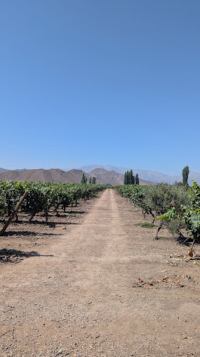 Horarios de In Situ Family Vineyards
