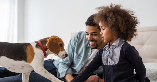 Moving and Storage Service «Charles Moving & Storage Inc», reviews and photos, 2293 Springfield Ave, Vauxhall, NJ 07088, USA