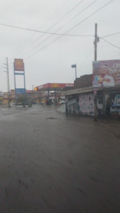 Photos of Assa Riobamba