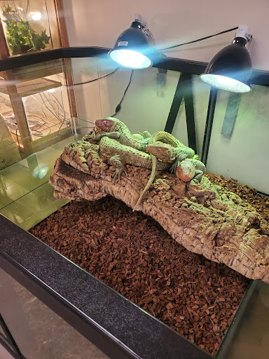 Reptile Store «Pets & Things», reviews and photos, 44825 Van Dyke, Utica, MI 48317, USA