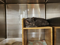 PetSmart - Photo 7 - Car repair in Shawnee, KS, Overland Park