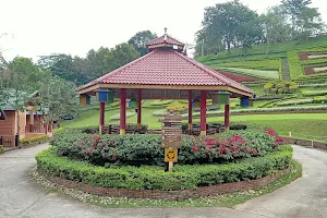 Mae Salong Flower Hills image