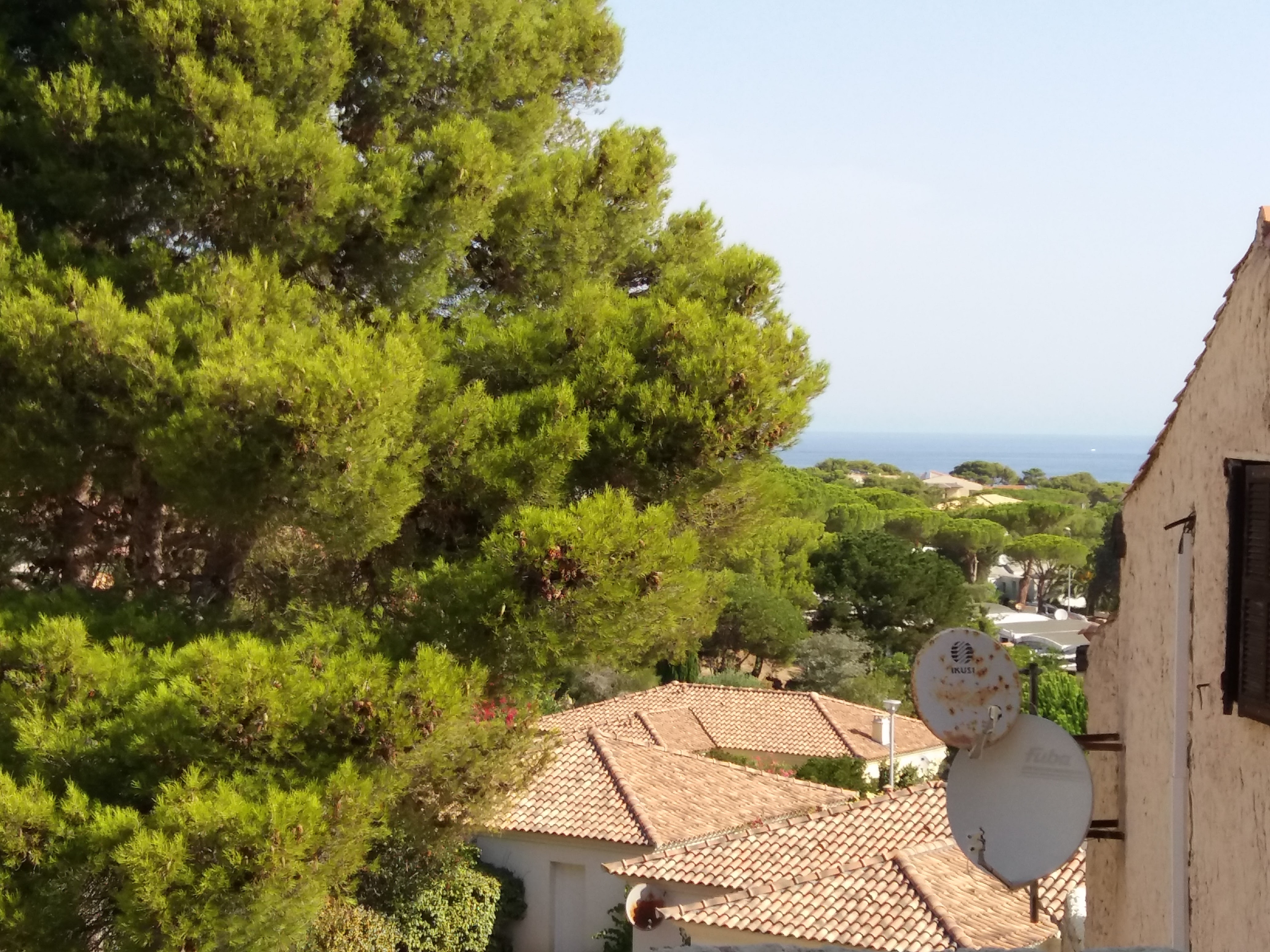 Photo n° 6 de l'avis de FERRO.R fait le 16/11/2017 à 21:33