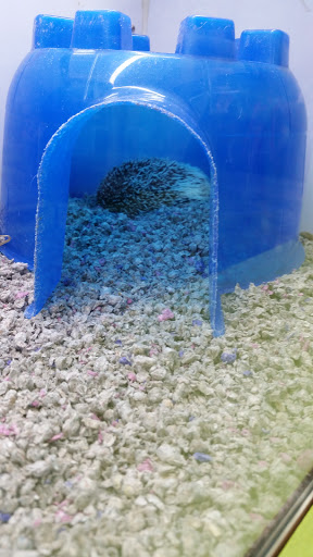 Pet Store «Animart», reviews and photos, 4303 E Towne Way, Madison, WI 53704, USA