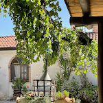 Photo n°11 de l'avis de Massimo.a fait le 15/08/2022 à 17:29 sur le  Agriturismo Le Campestre à Castel di Sasso