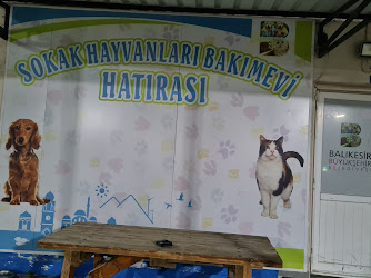 Altıeylül Sokak Hayvanları Geçici Bakım Evi