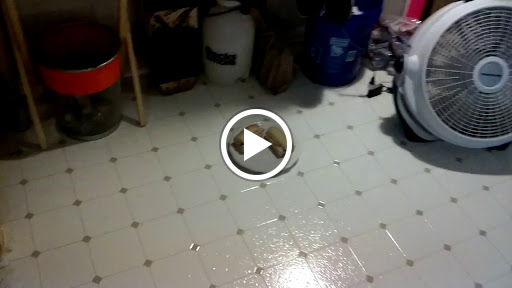 Grocery Store «Makkah Market», reviews and photos, 22846 S Western Ave, Torrance, CA 90501, USA