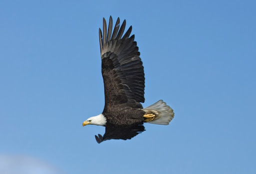 4608 Colleyville Blvd, Colleyville, TX 76034, USA