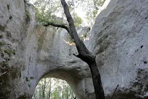 Grottes de la Bérigoule image