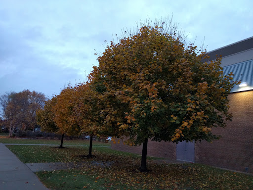 Community Center «Warren Community Center», reviews and photos, 5460 Arden Ave, Warren, MI 48092, USA
