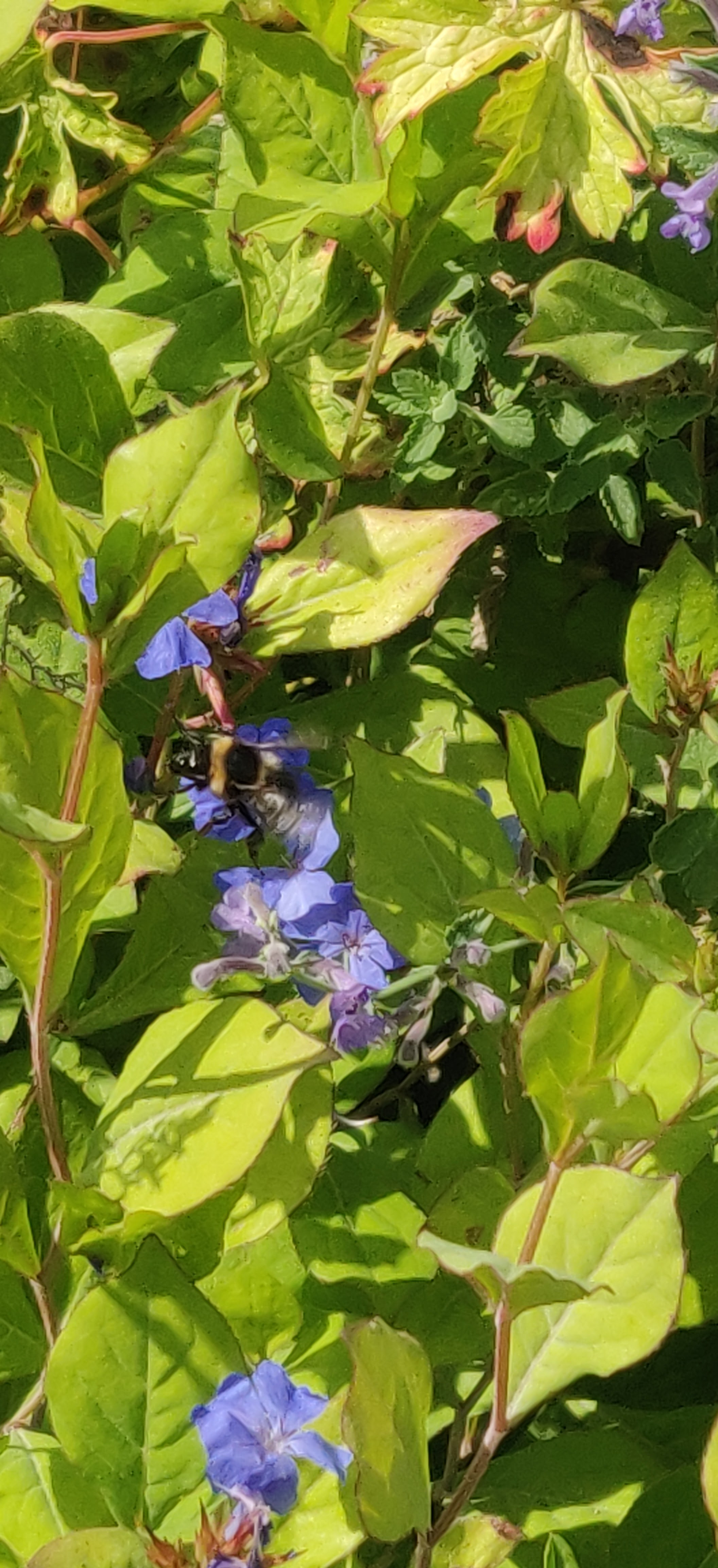 Photo n° 1 de l'avis de guillaume.A fait le 24/07/2021 à 15:13