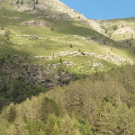 Photo n° 10 de l'avis de Yves.e fait le 27/07/2017 à 10:09 pour Parc national des Écrins à Gap