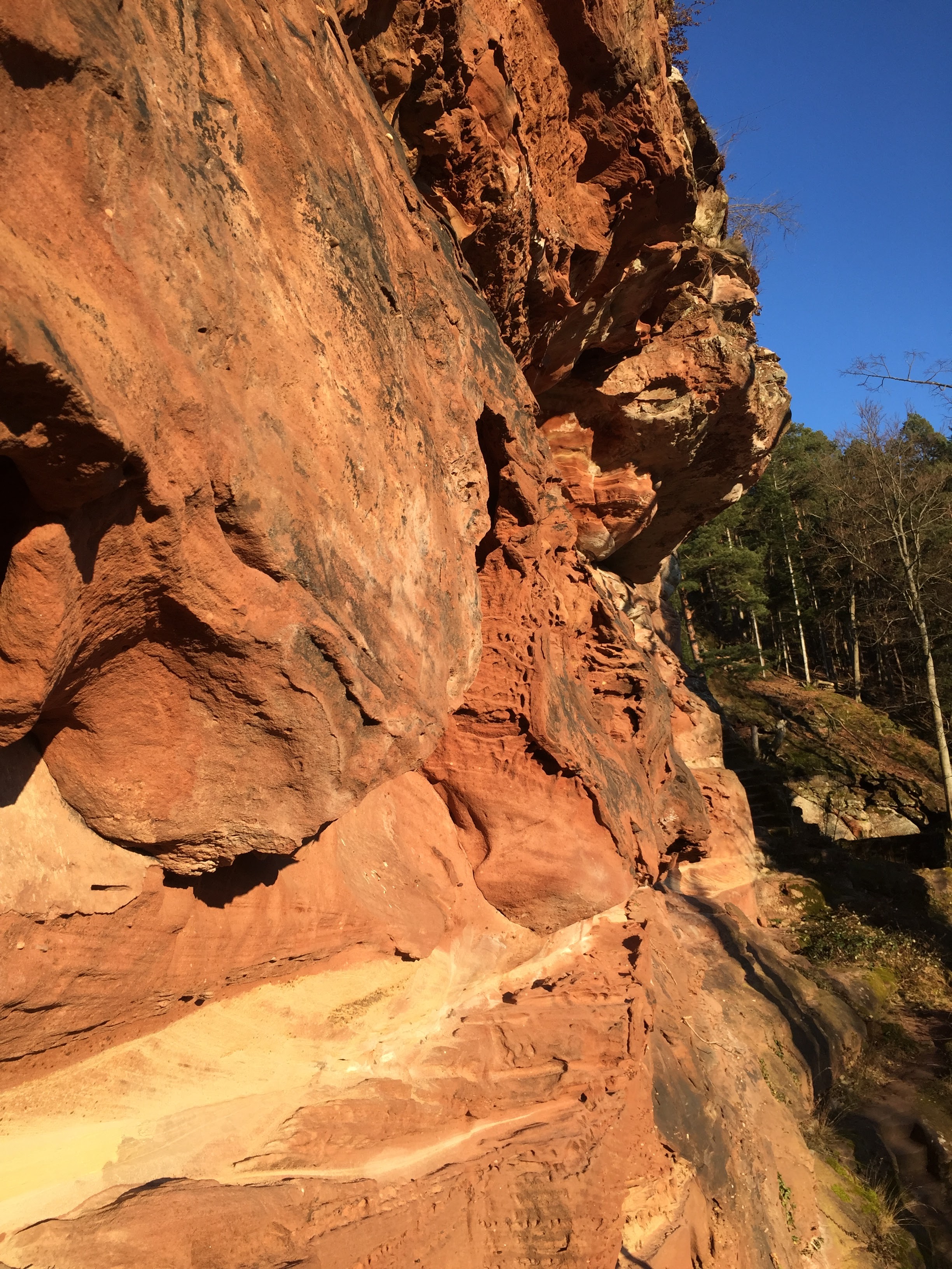 Photo n° 5 de l'avis de Sandra.i fait le 31/12/2020 à 14:00